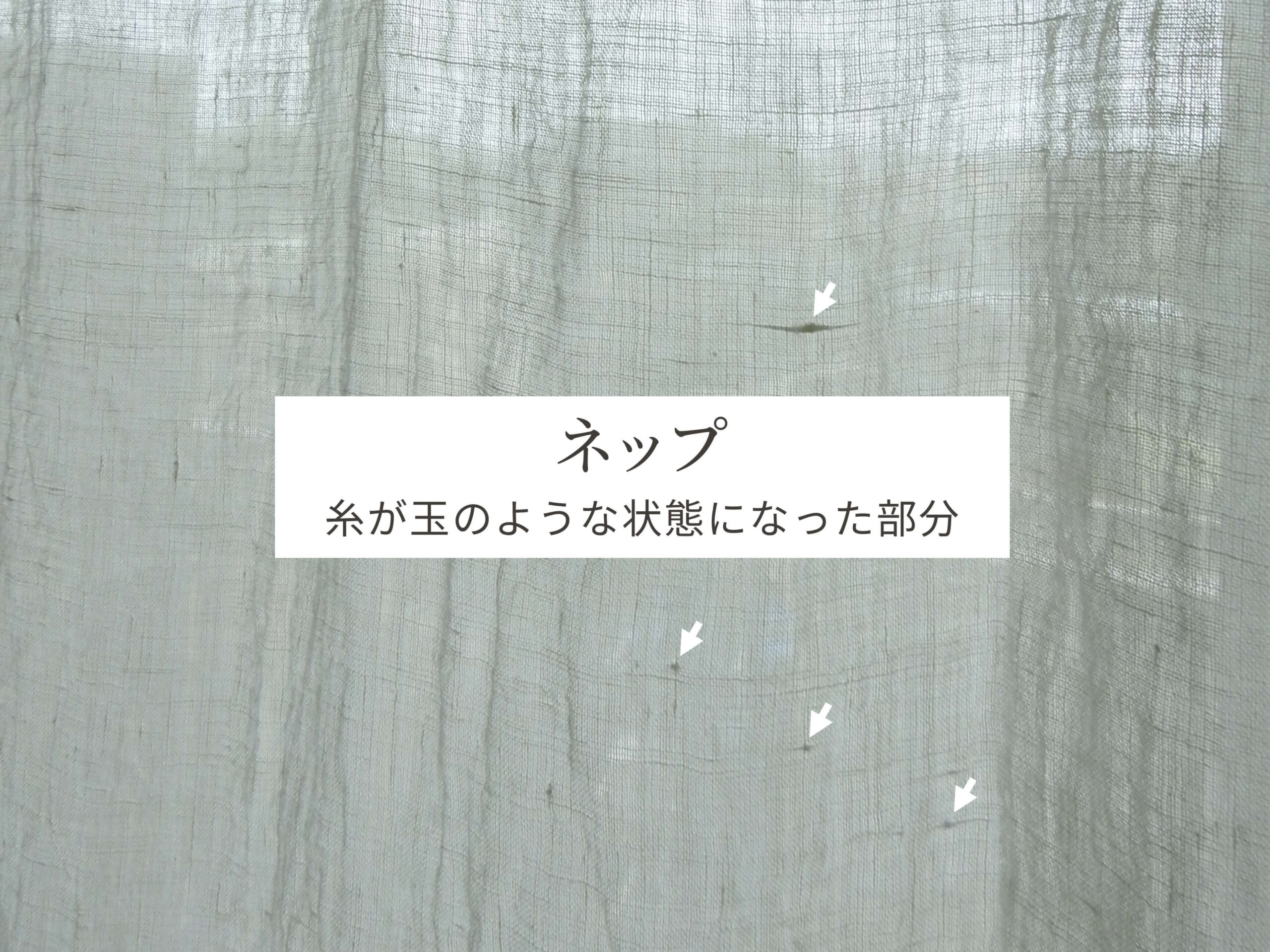 ネップのイメージ画像